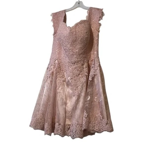 Hebeos A-line Women's Pink Lace Overlay, Cocktail/Party Dress SEE MEASUREMENTS - Picture 4 of 15